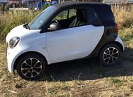 Smart Fort two 2017
